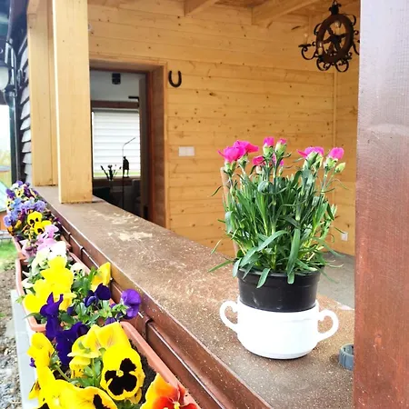 Chybotek Premium Danusia