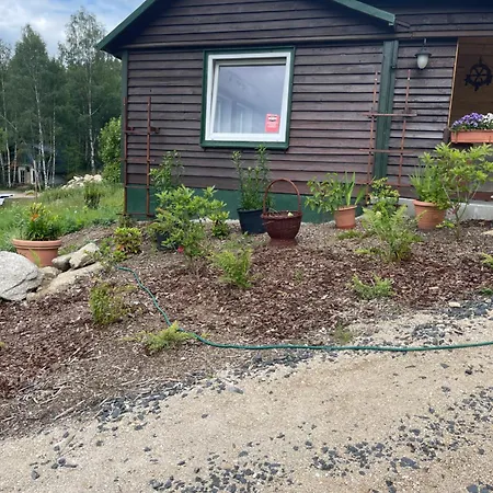 Chybotek Premium Danusia