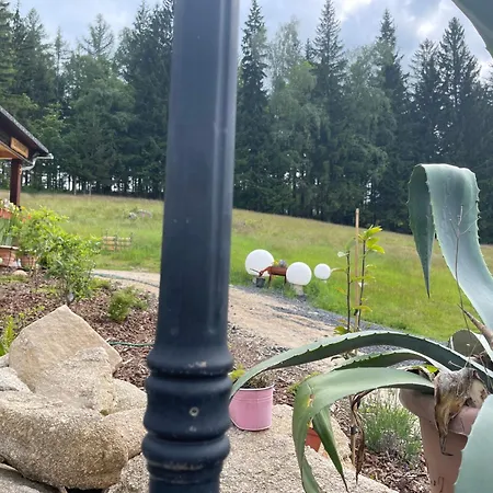 Chybotek Premium Danusia
