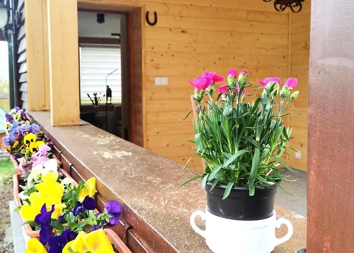 Chybotek Premium Danusia