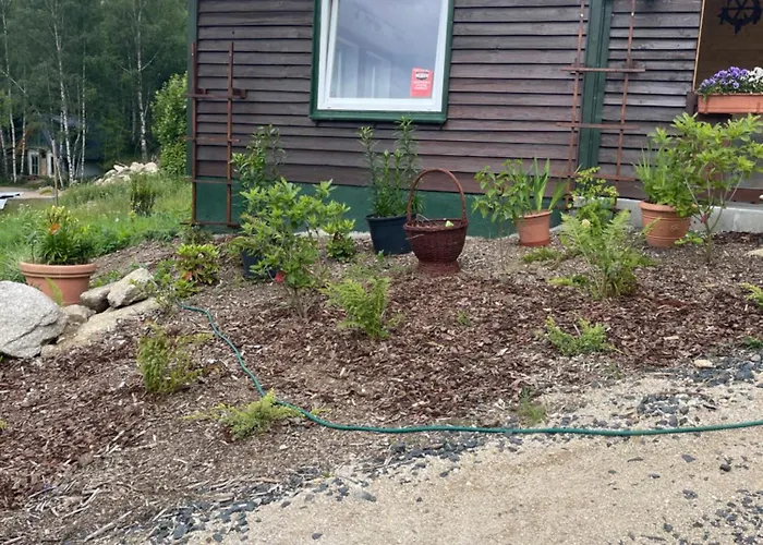 Chybotek Premium Danusia