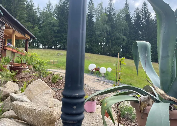 Chybotek Premium Danusia